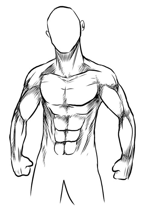 Dibujo De Musculos Del Cuerpo Humano Vista Frontal Para Colorear