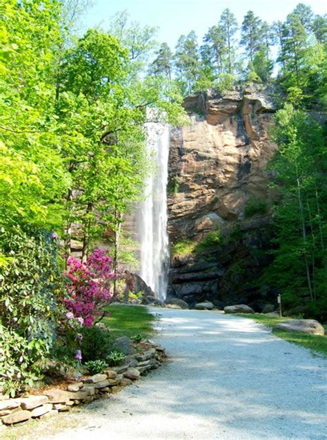 Pathway To Toccoa Falls ~ Stephens County Georgia Georgia Travel