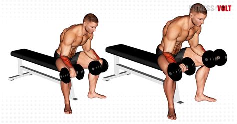 Collar Event Print Dumbbell Grip Exercises Essentially Spectacle Forget