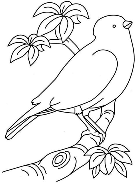 Free Printable Coloring Pages Birds Download Free Printable Coloring Pages Birds Png Images