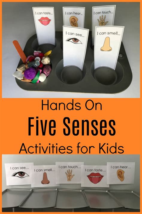 Hands On Five Senses Activities For Kids • The Preschool Toolbox Blog