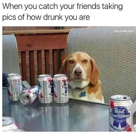 Funny Drunk Friend Memes Funny Memes