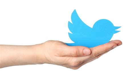 Twitter For Seo How To Use Twitter To Boost Your Brand Good To Seo