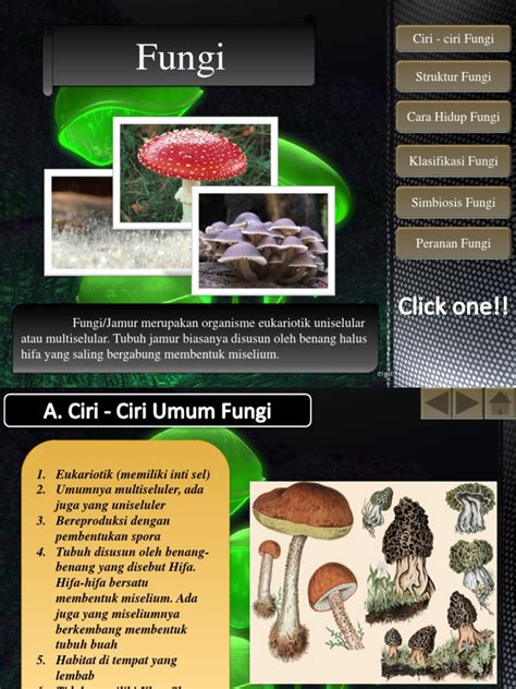 Ppt Fungi