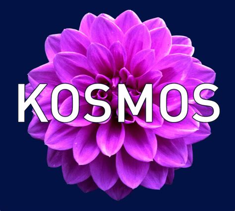 Kosmos Journal Media Pa
