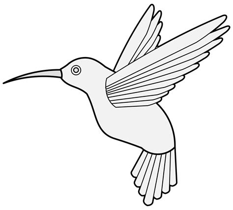 Printable Hummingbird Outline