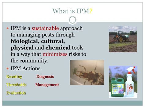 Physical contamination occurs when physical objects contaminate food. PPT - IPM Strategies and Techniques PowerPoint ...