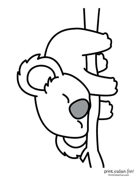 Koala Coloring Page Printable For Kids Coloring Pages