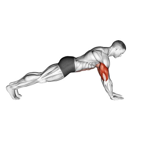 Forearm Push Ups Benefits Muscles Worked And More Inspire Us