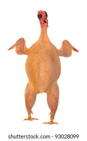 Raw Full Length Chicken Lying Stock Photo 93028099 Shutterstock