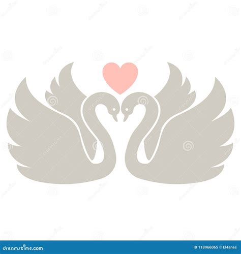 Two Swans Vector Illustration Stock Vector Illustration Of