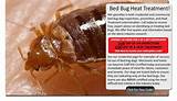 Bed Bug Treatment Chicago Images