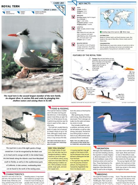 Wildlife Fact File Birds Pgs 201 210 Pdf Birds Bird Migration