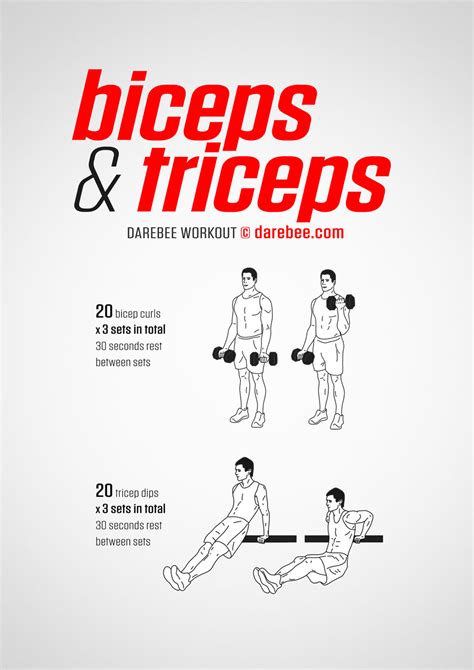 Bicep And Triceps Workout