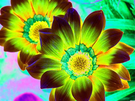 Psychedelic Photography Contest Pictures Image Page 2