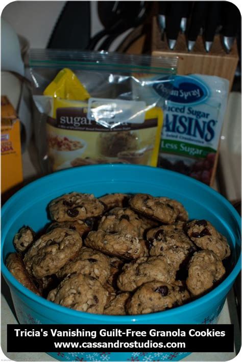 Pack the parfait in a mason jar for a healthy breakfast on the go. Tricia's Vanishing Guilt-Free Granola Cookies. Great for diabetics-low sugar. | Favorite recipes ...