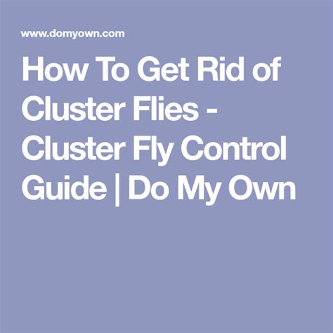 How To Get Rid Of Cluster Files Cluster Fly Control Guide Do My Own