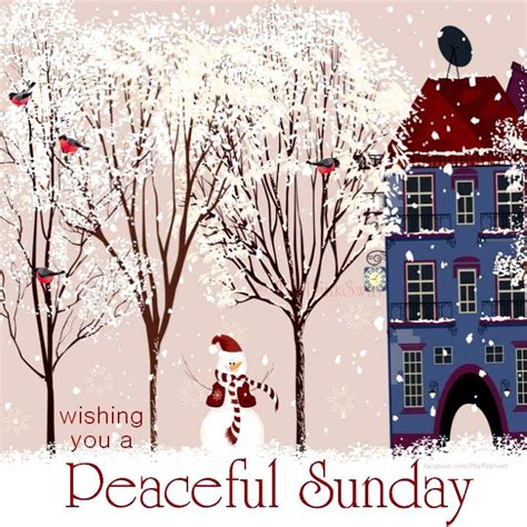 Wishing You A Peaceful Sunday Sunday Winter Snow Snowman Trees Birds