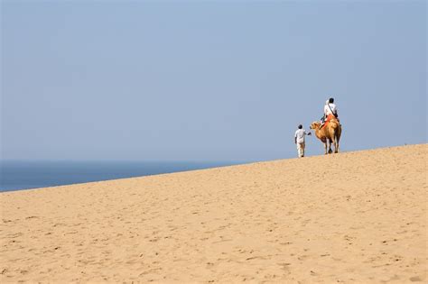 Why You Should Visit The Tottori Sand Dunes Tottori Sand Dunes