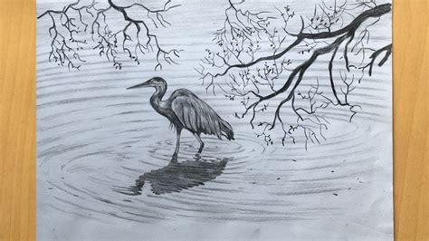 Feel free to explore, study and enjoy paintings with paintingvalley.com. Heron drawing in pencil | simple pencil sketch | bird ...