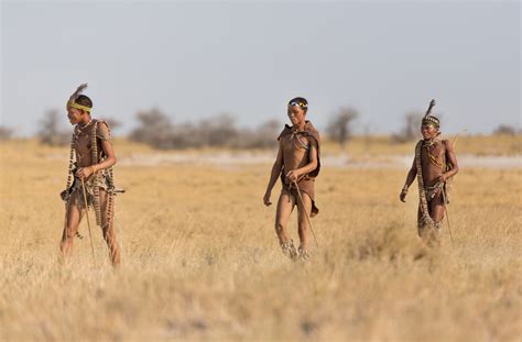 step back in time with the zu hoasi bushmen of botswana