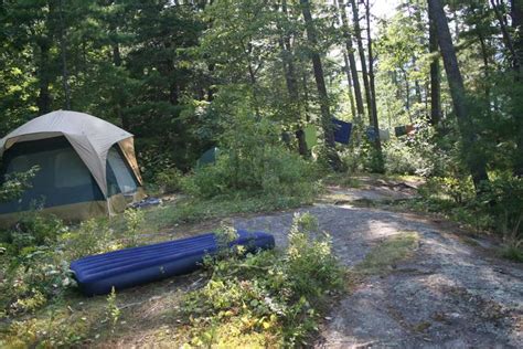 Lake George Island Camping On Vicars Island 11 Campsites With Great