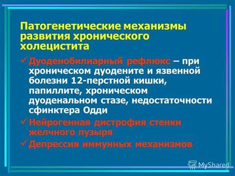 Сфинктера одди диета при спазме Презентация на тему: "Заболевания желчного пузыря и желчевыводящих Презентация на тему: "Заболевания желчного пузыря и желчевыводящих Сфинктера одди диета при спазме