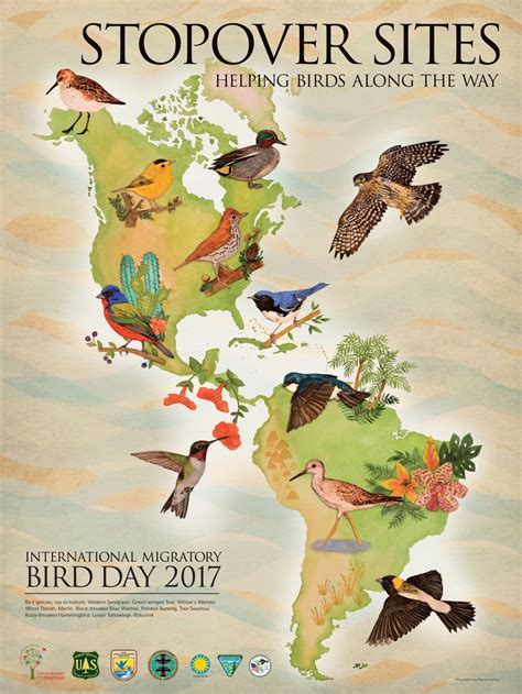 International Migratory Bird Day 2017 Celebrates Stopovers Pacific