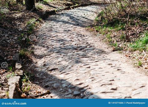 Path Stone Paved In The Park In Forest Stock Photo Image Of Stone