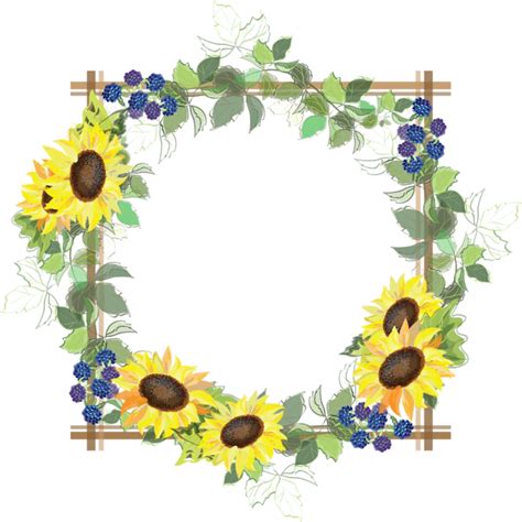 Divider Clipart Sunflower Divider Sunflower Transparent