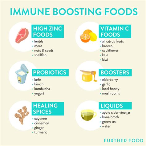 Neem oil, which boosts the production of t cells, a vital. 25 Immune Boosting Foods to Fight off Colds and Flus ...