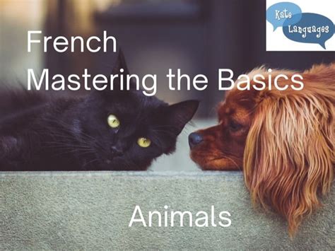 Mastering the Basics - French Animals | Teaching Resources