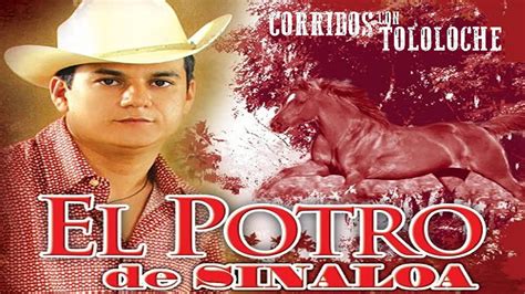 El Potro De Sinaloa Exitos Corridos Con Tololoche Mix 2023 Lo Mejor