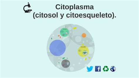 Citoplasma Citosol Y Citoesqueleto By Eduardo Toledo Onassis