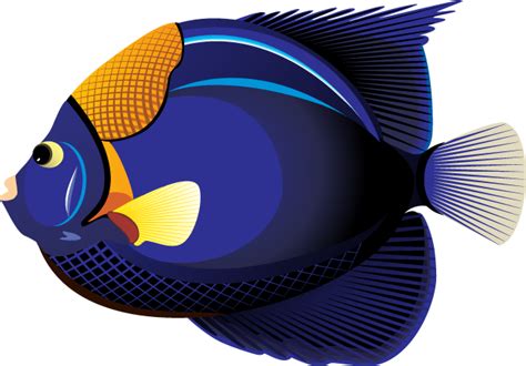 Tropical Fish Clip Art Clipart Best