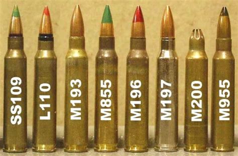 Ammunition Types