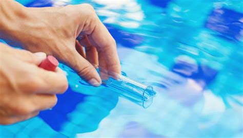 Crypto The Parasite Of Swimming Pools The Symptoms And Risks Tips