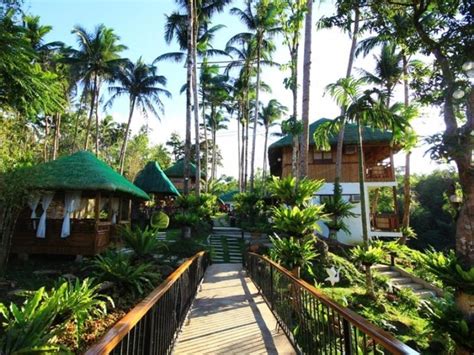 Top 10 Hotels In Quezon Province Philippine Beach Guide