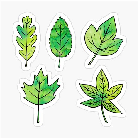 Green Leaves Sticker By Olooriel In 2021 Leaves Sticker Floral