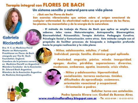 Medicina Floral Hoy Gabriela Ricciardelli Flores De Bach Para Una