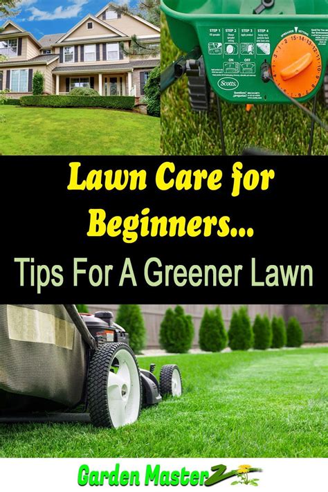Pin On Lawn Care Tips