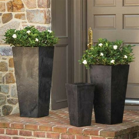 20 Outdoor Plants For Tall Planters Decoomo