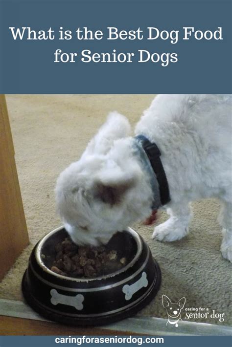 Includes an impartial review and detailed star rating for each brand. What is the Best Dog Food for Senior Dogs - Caring for a ...