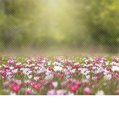Spring Digital Backdrop Flora
