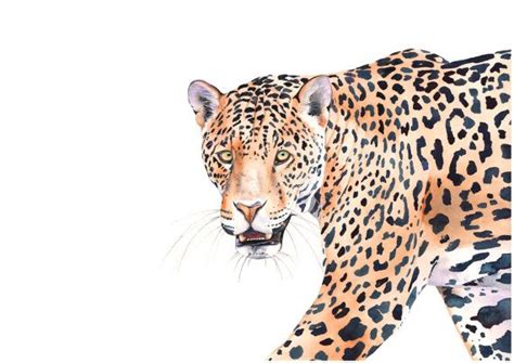 Jaguar Print Of Watercolour Painting 5 By 7 Size Por Louisedemasi All