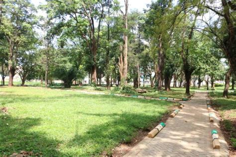 Muliro Garden Nairobi Today Incase You Missed Muliro Garden Photos