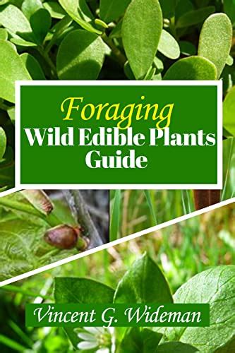 Foraging Wild Edible Plants A North America Practical Beginner Book