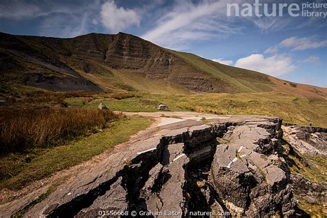 Nature Picture Library The Mam Tor Landslide An Active Landslide With