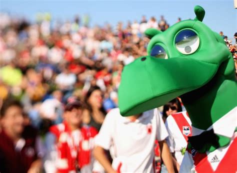 We Rank All 16 Nrl Mascots By Their Creepiness Huffpost Australia