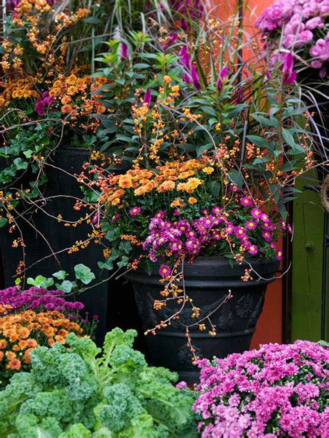 10 Incredibly Inspiring Fall Flower Gardens Curbly Diy